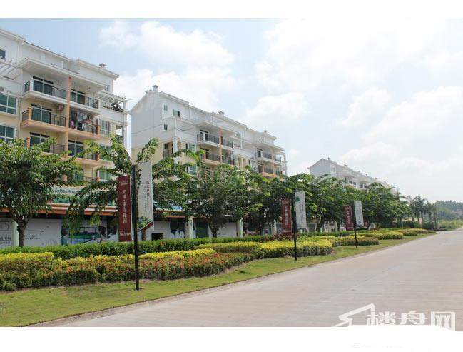 南方花园实景图