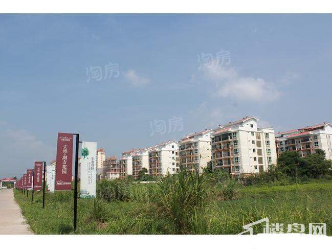 南方花园实景图