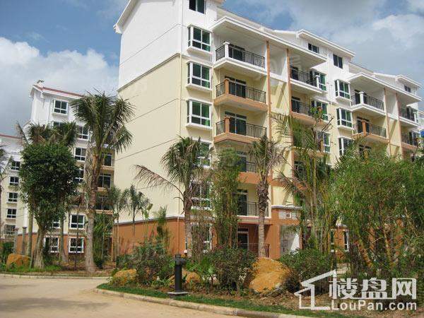 南方花园实景图