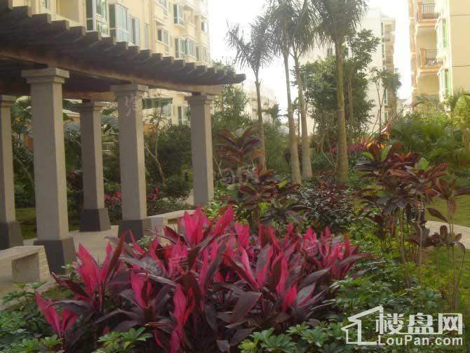 南方花园实景图