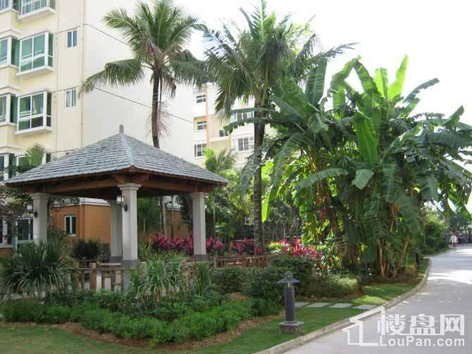 南方花园实景图