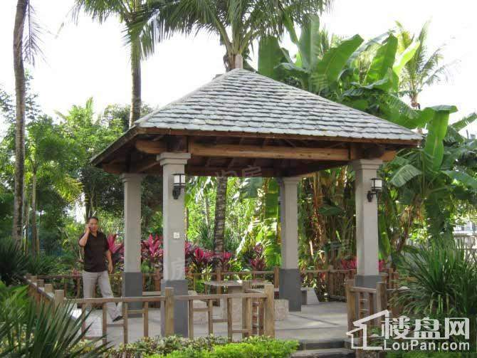 南方花园实景图