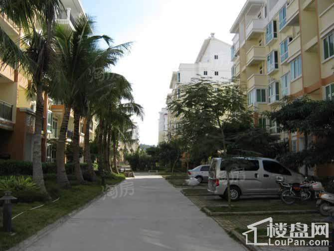 南方花园实景图