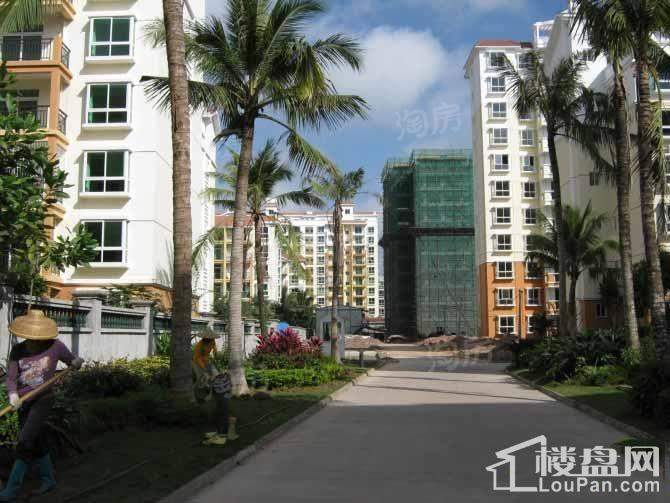 南方花园实景图