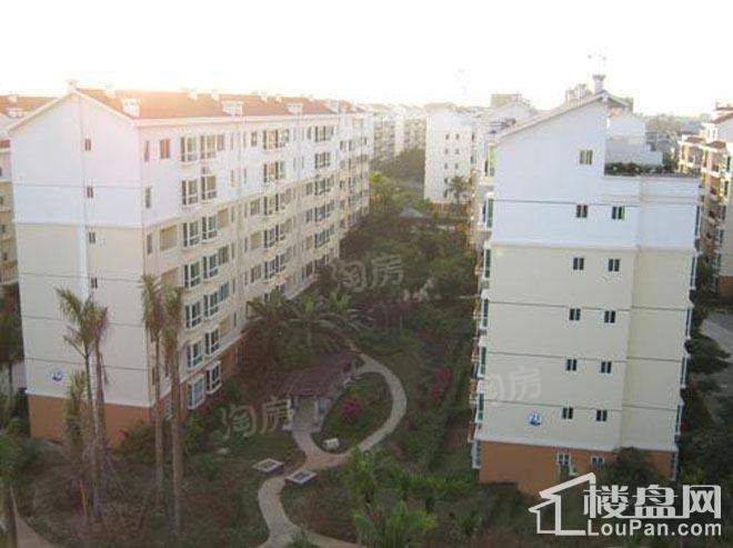 南方花园实景图