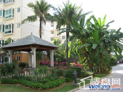 南方花园实景图