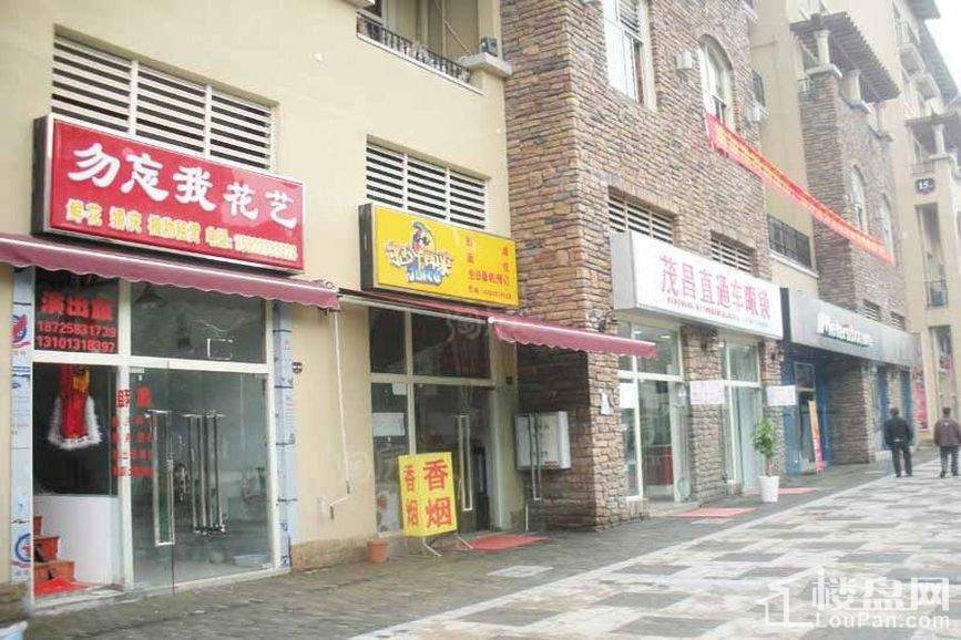 书香溪墅配套图