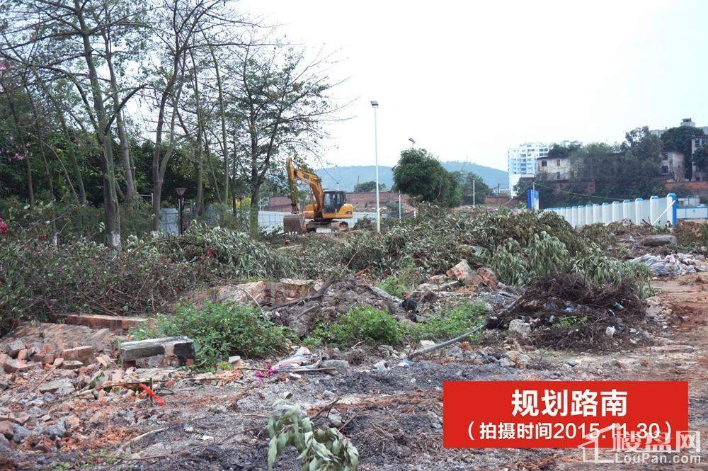 金悦澜湾实景图