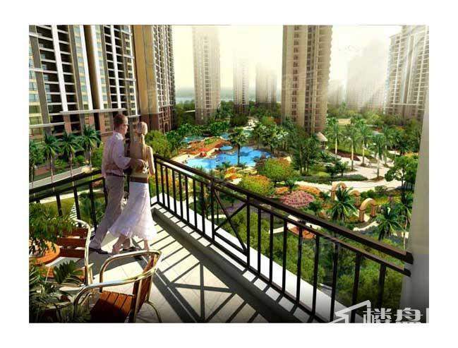 半岛阳光效果图