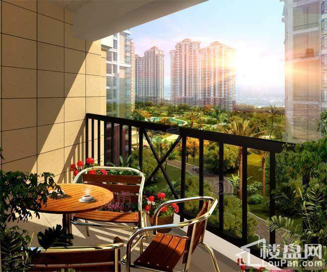 半岛阳光效果图