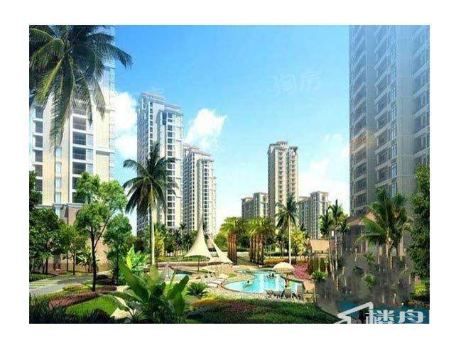 半岛阳光效果图