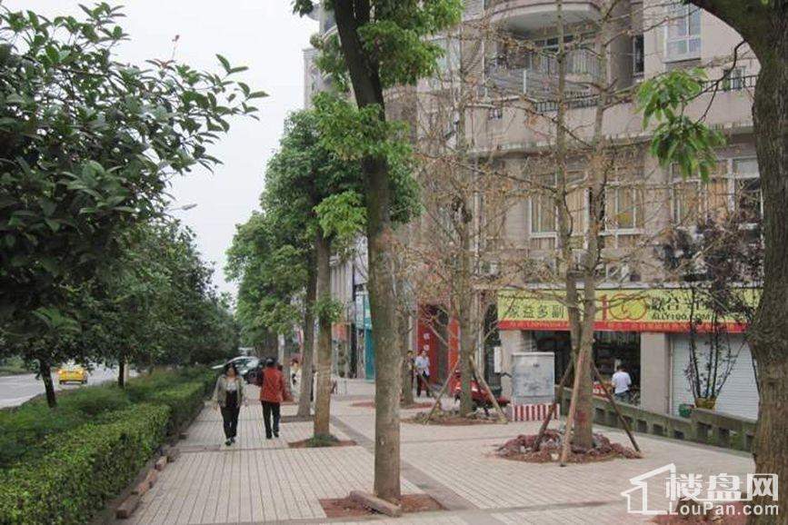 周边配套图