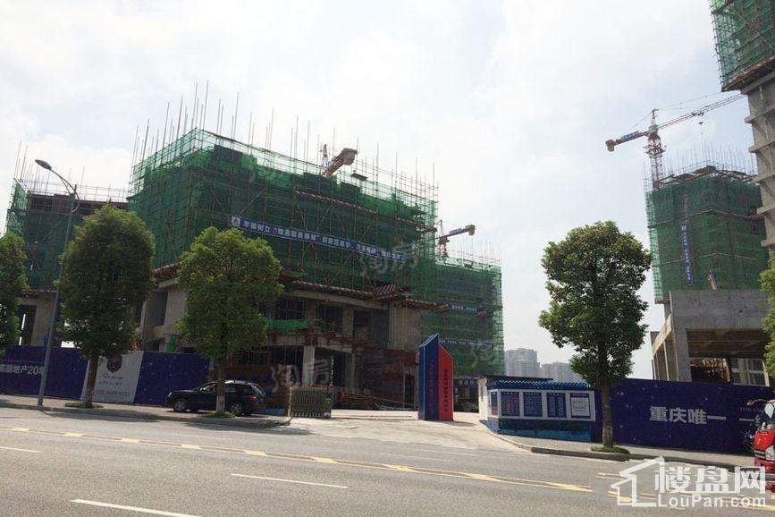实景图