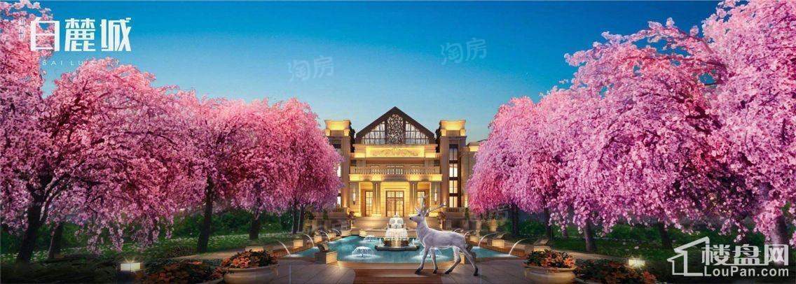 新希望·白麓城效果图