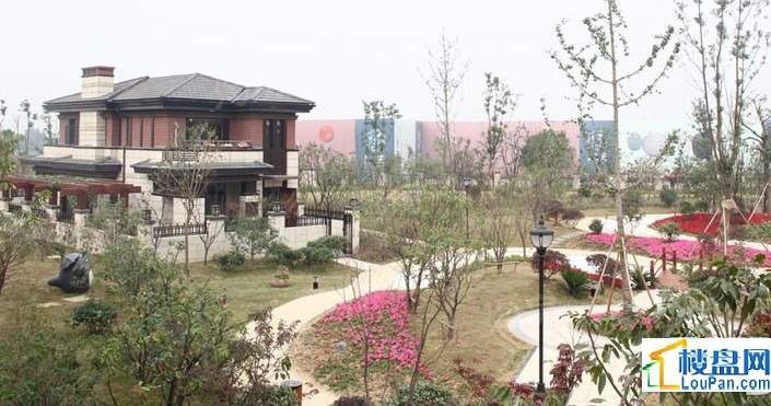 大吉公元实景图