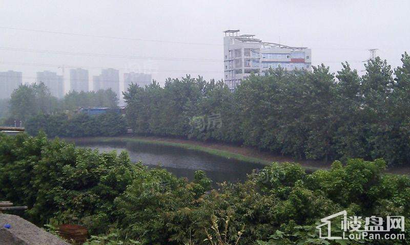 实景图