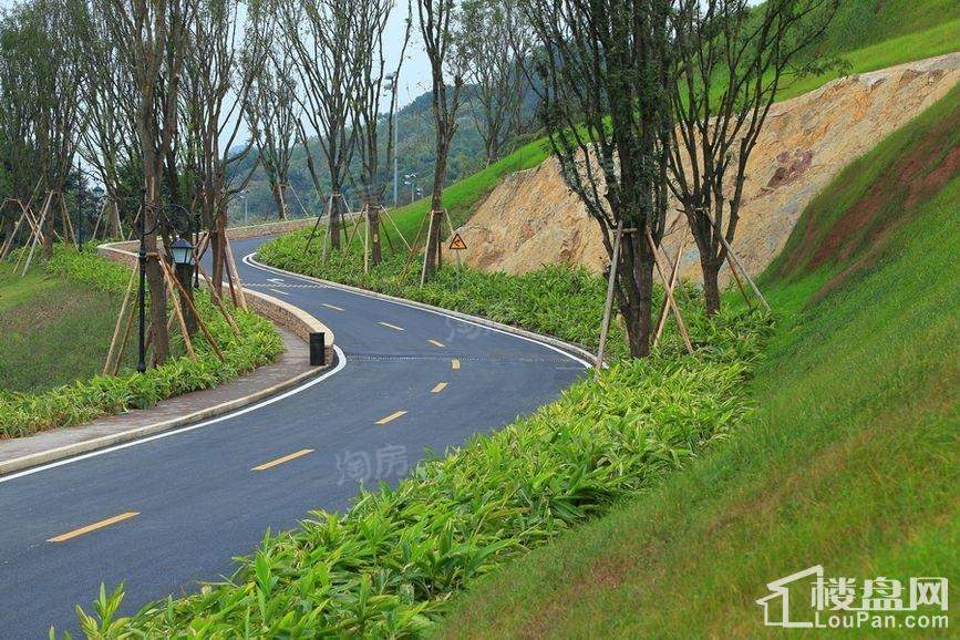 远洋原香实景图
