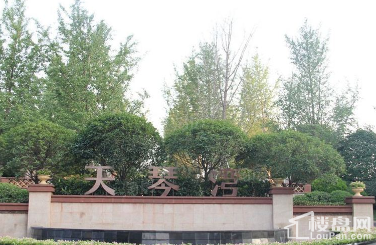 天琴湾实景图