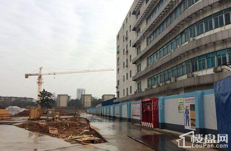 上园实景图