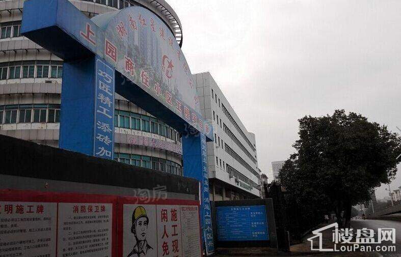 上园实景图