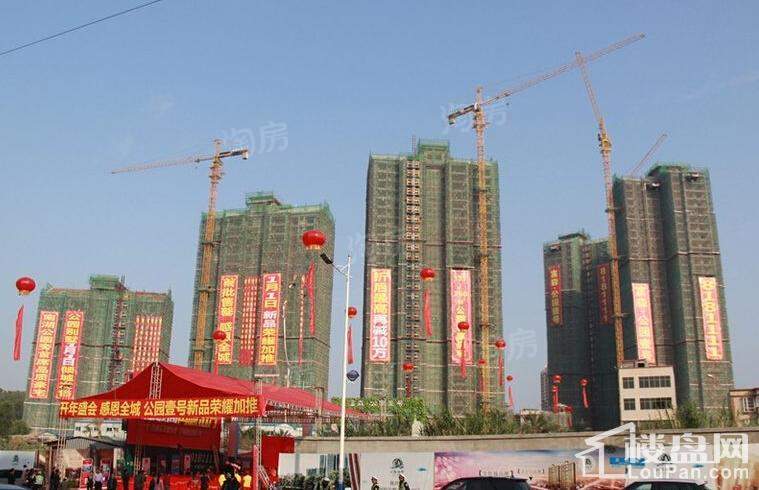 富森·公园壹号实景图