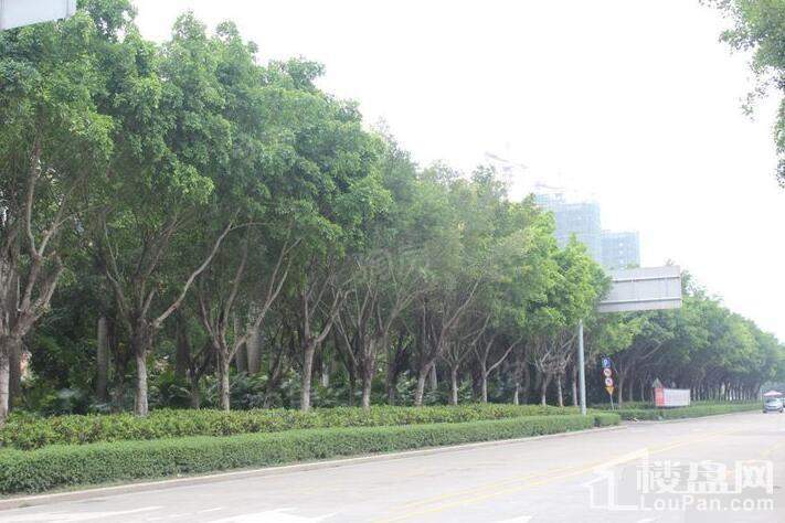 合生上观国际实景图