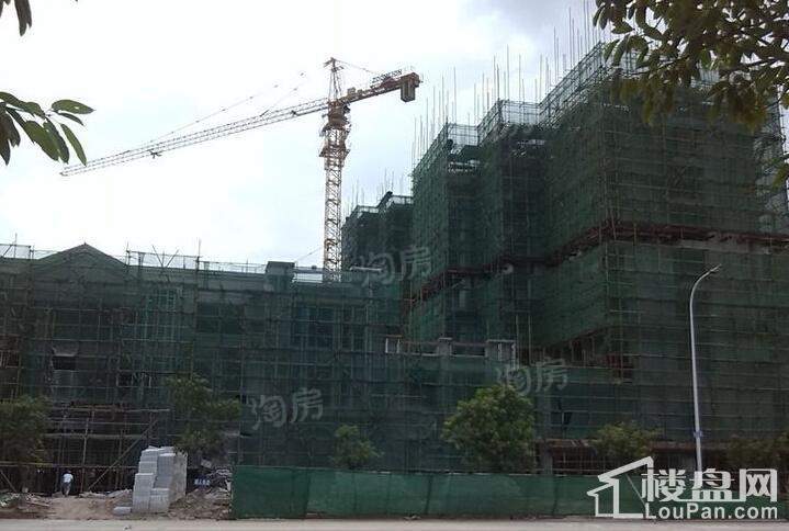 万城名座花园实景图