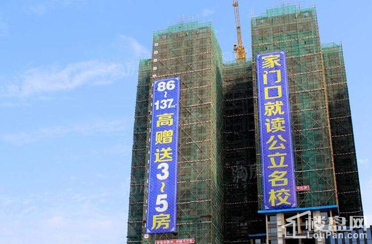 大坤·金洲广场实景图