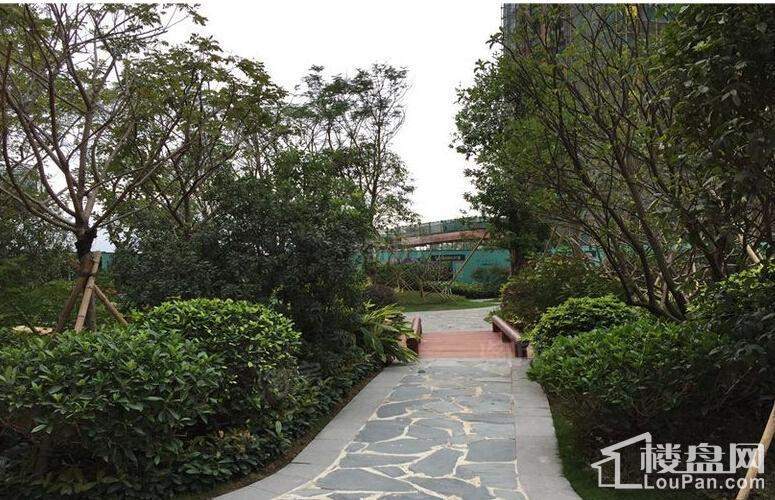 天健阳光花园实景图