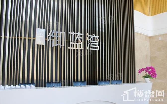 庞源御蓝湾实景图