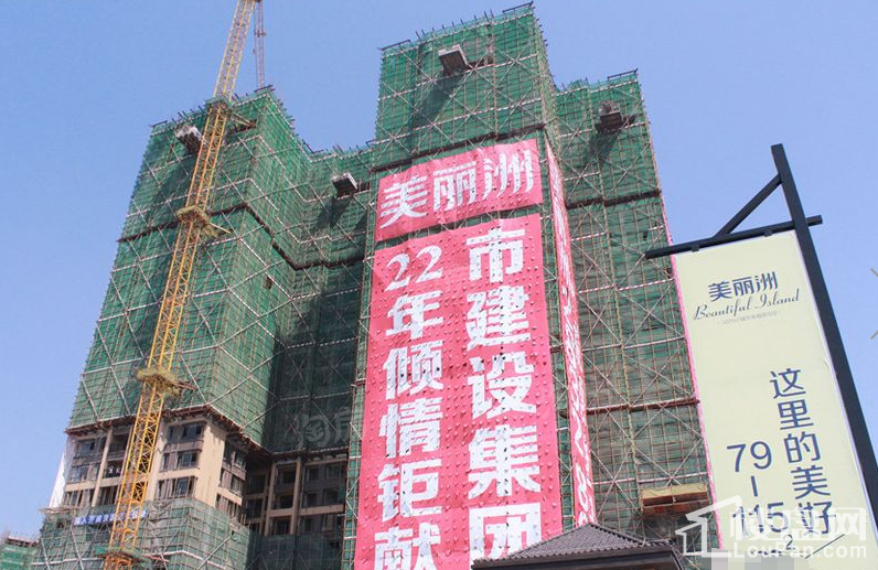 美丽洲实景图