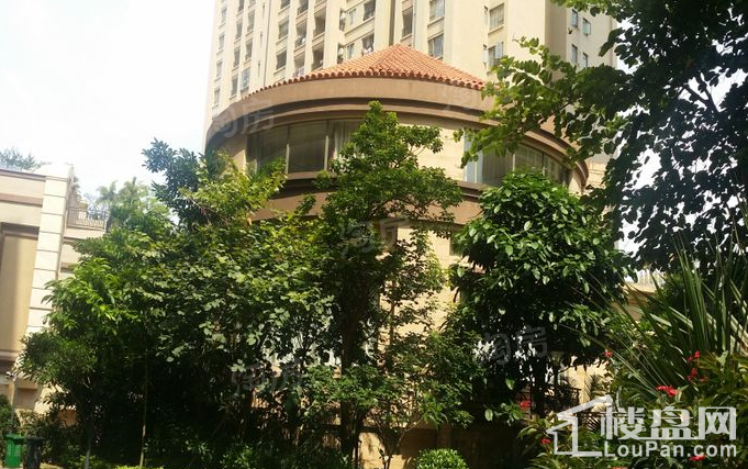 惠东国际新城实景图
