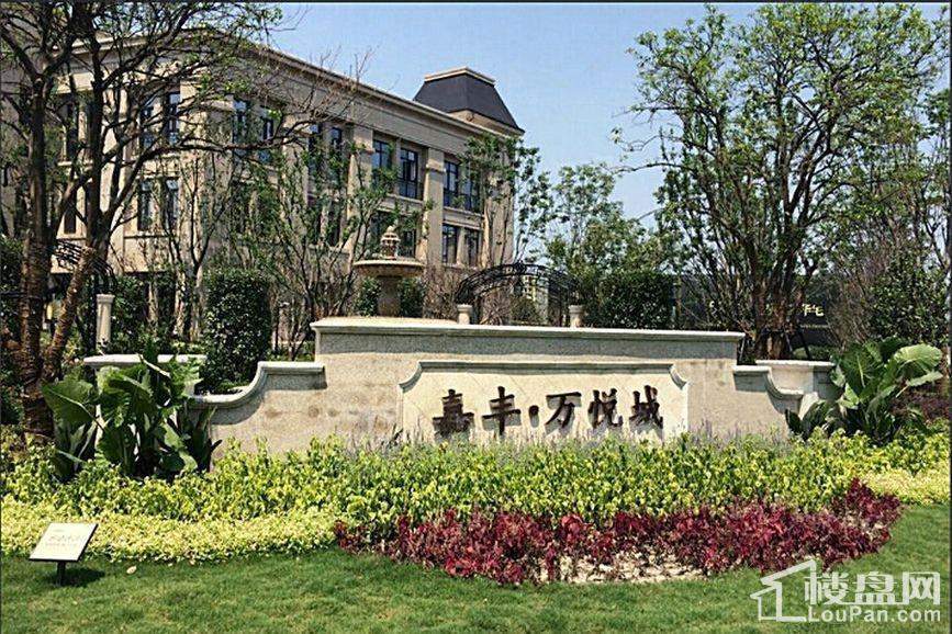 嘉丰万悦城实景图