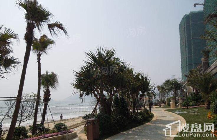 宝安虹海湾实景图