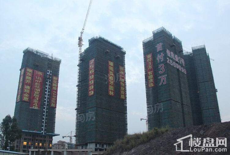 实景图