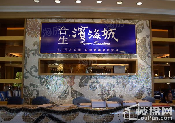 合生滨海城实景图
