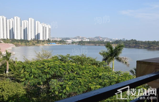 合生滨海城实景图