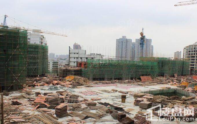 隆生·东湖9区实景图