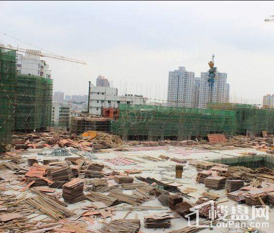 隆生·东湖9区实景图