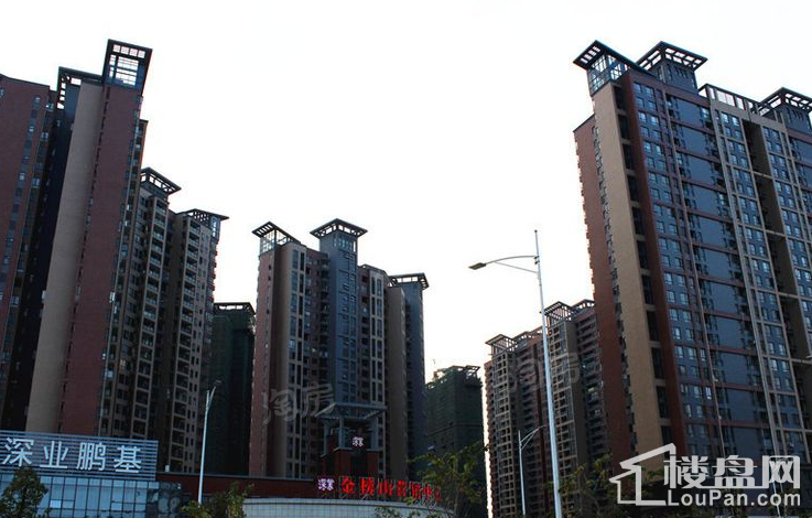 深业金榜山实景图
