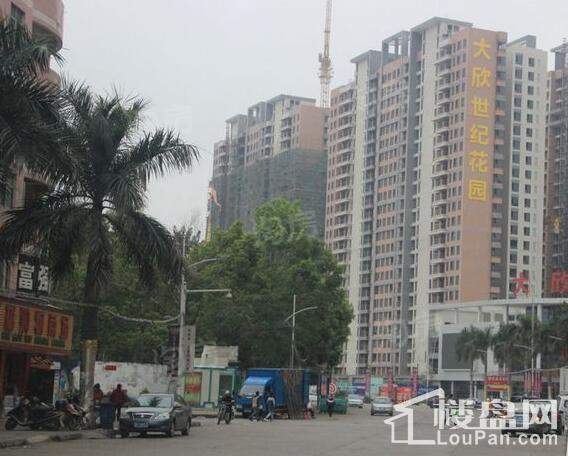 大欣城·世纪花园实景图