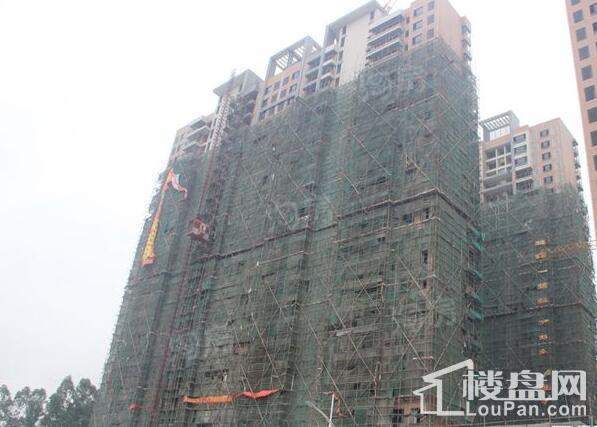 大欣城·世纪花园实景图