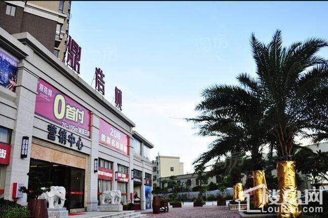 鼎浩城实景图