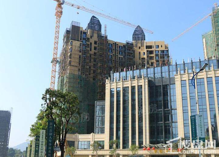 实景图