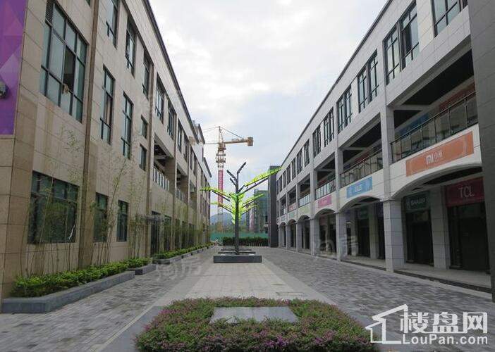 惠州远望数码城实景图