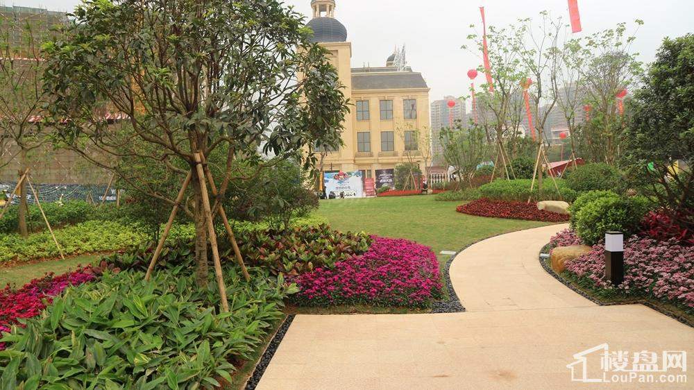 金悦澜湾实景图