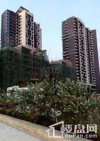 五经山水大观实景图