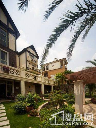 佳兆业东江新城实景图