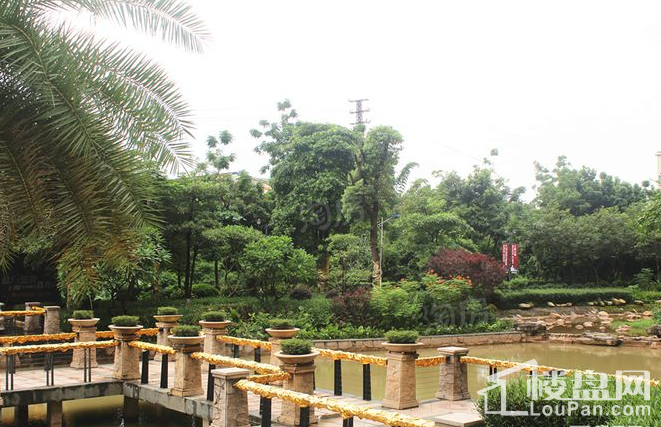 鑫月广场·欢乐海湾实景图