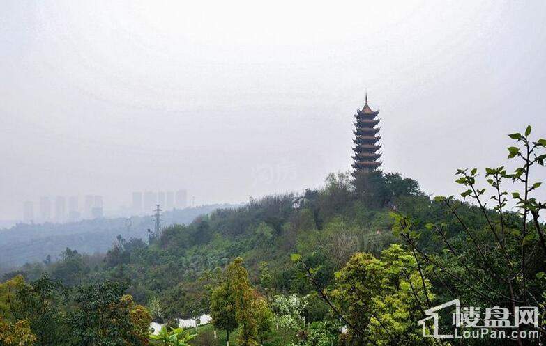 江山樾实景图